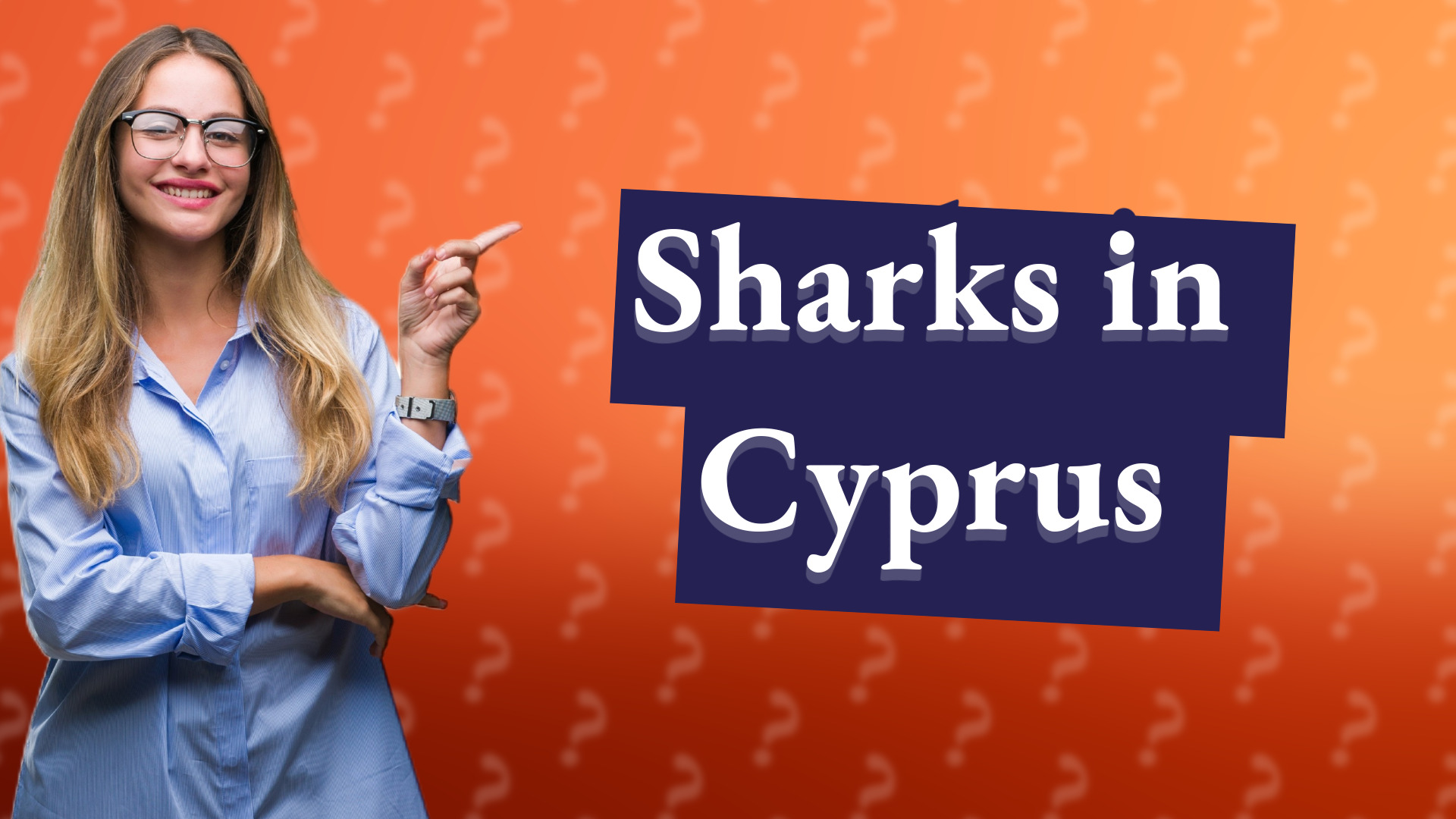 Sharks in Cyprus