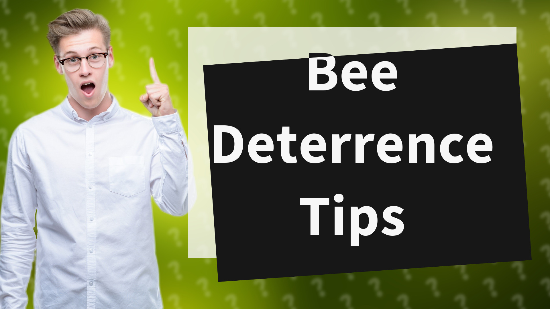 Bee Deterrence Tips