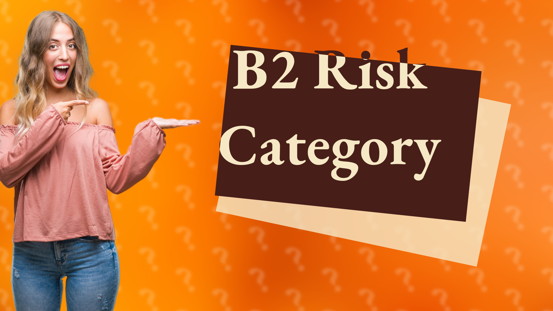 B2 Risk Category
