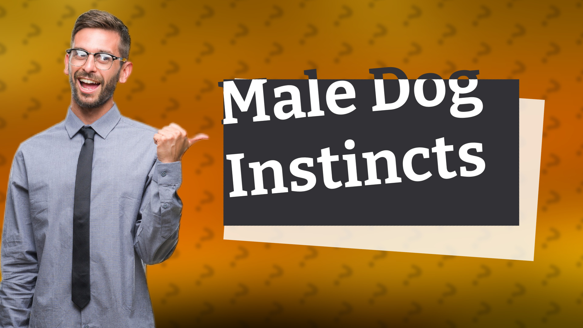 Male Dog Instincts