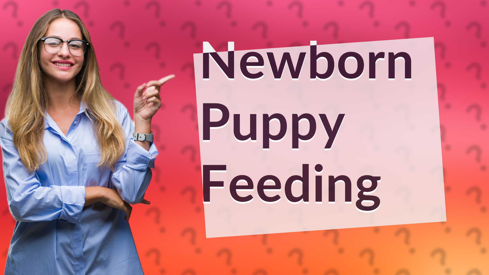 Newborn Puppy Feeding