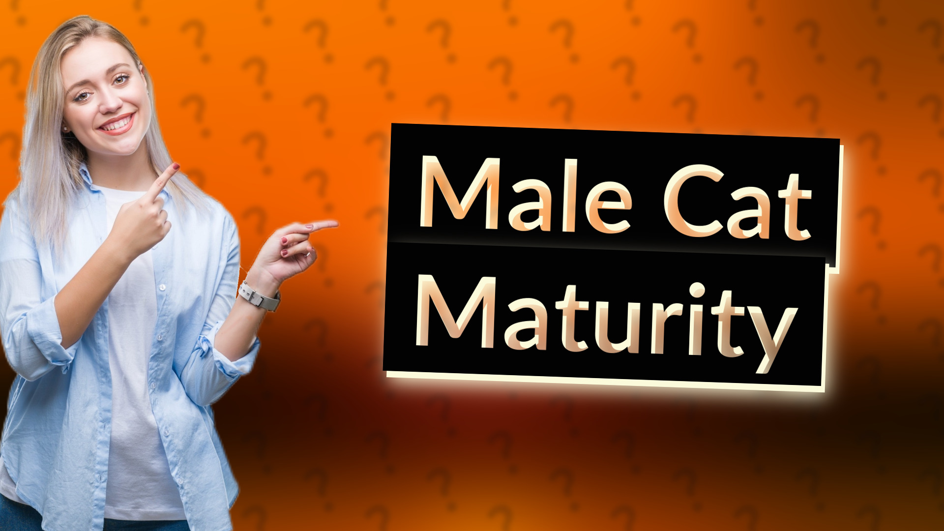 Male Cat Maturity