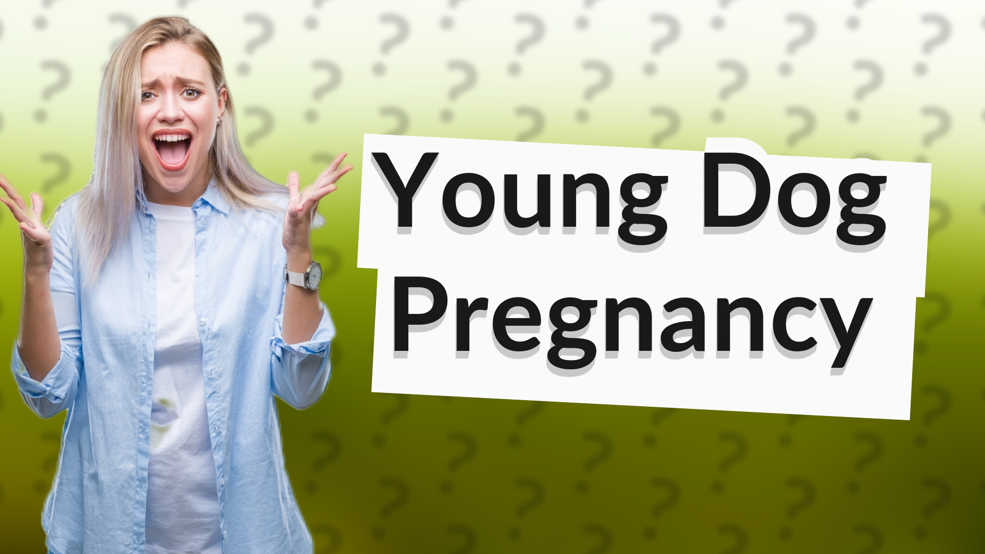 Young Dog Pregnancy