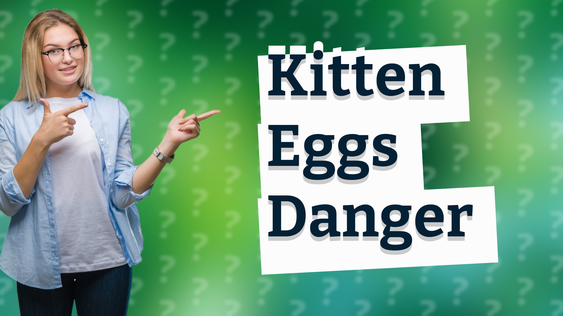 Kitten Eggs Danger
