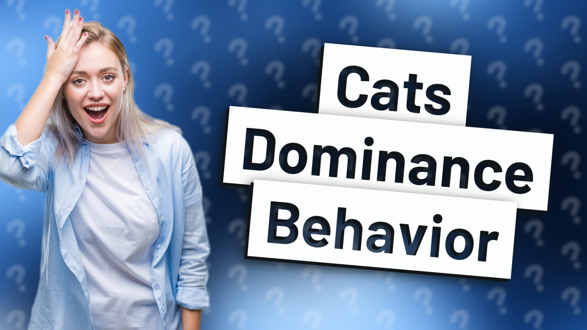 Cats Dominance Behavior