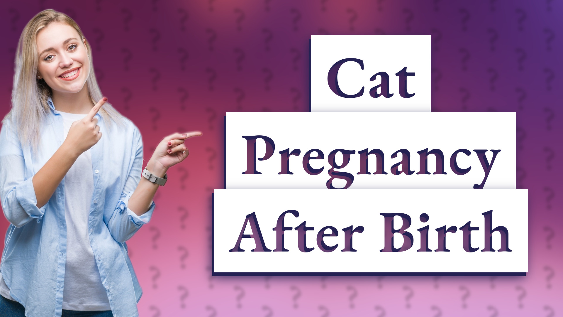 Cat Pregnancy After Birth