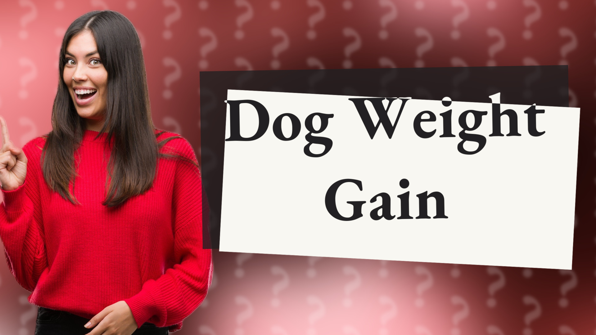 Dog Weight Gain