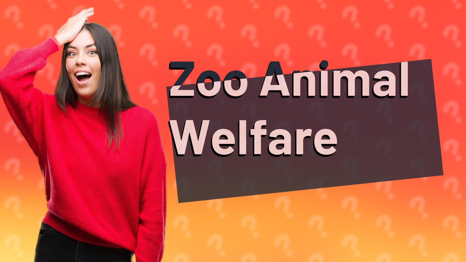 Zoo Animal Welfare