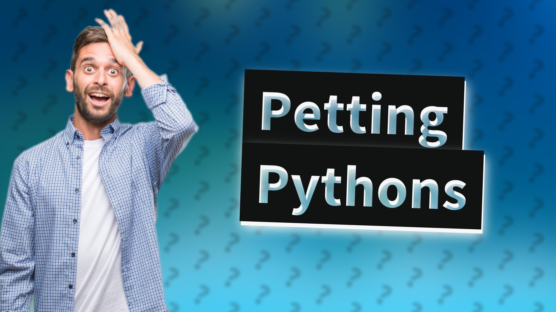 Petting Pythons