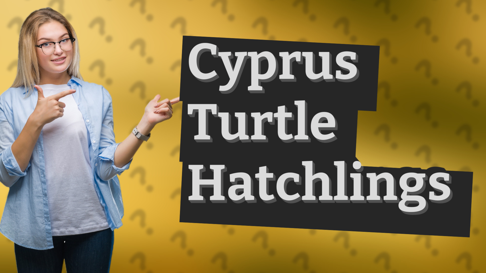 Cyprus Turtle Hatchlings