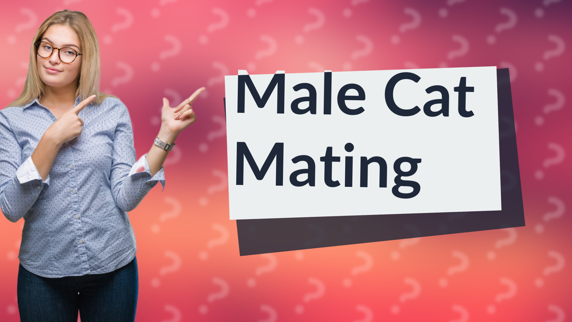 Male Cat Mating