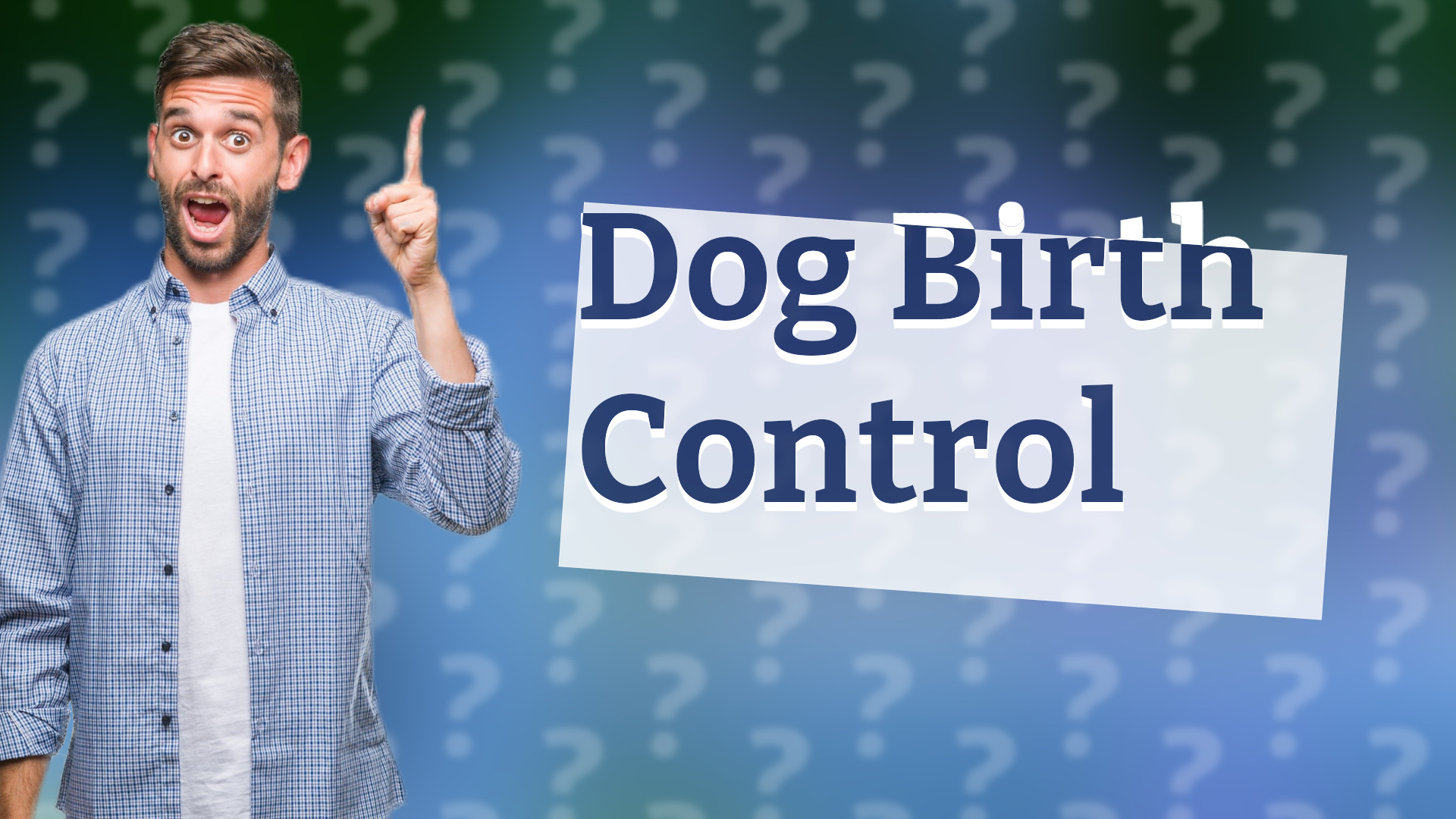Dog Birth Control