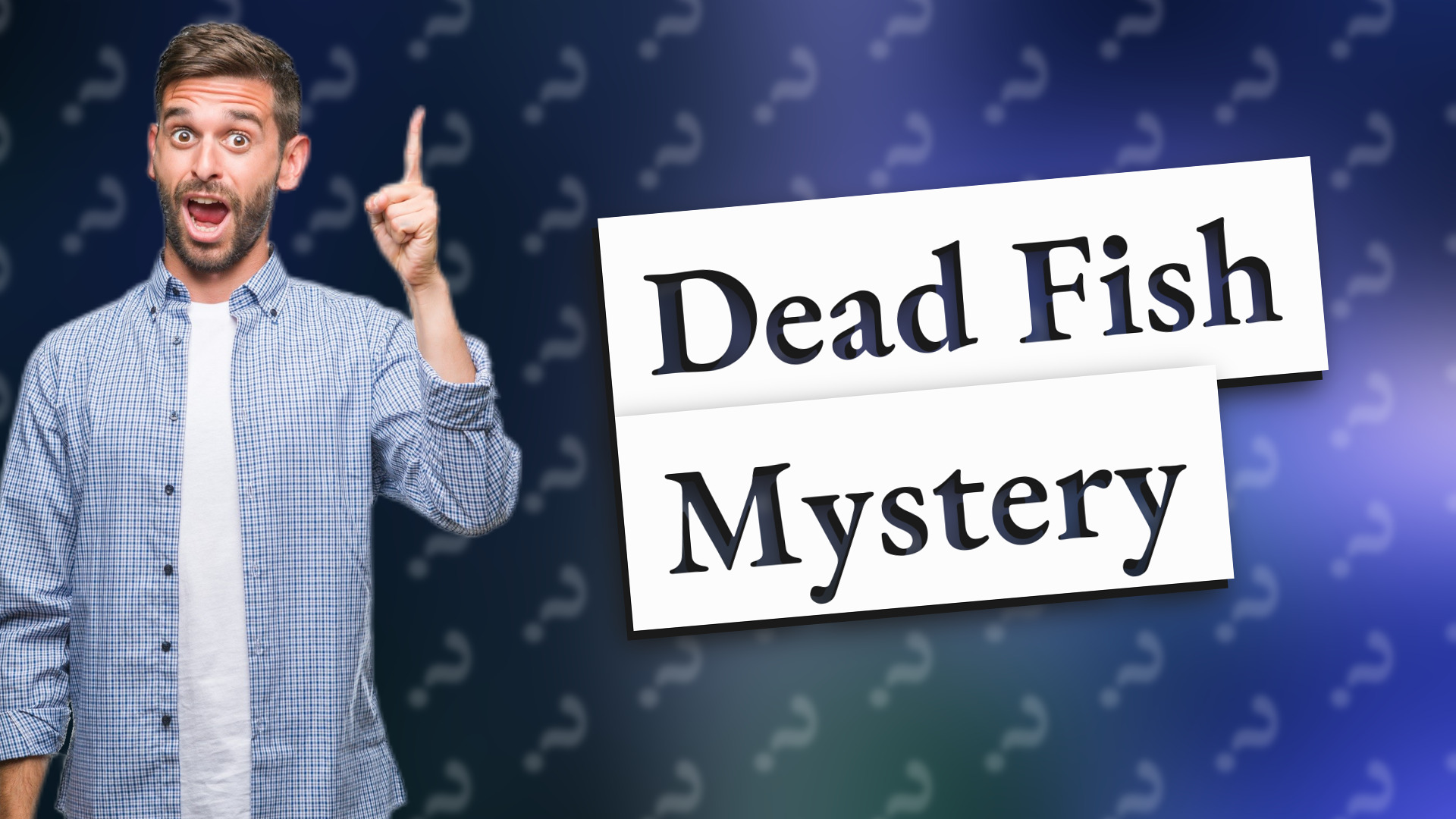 Dead Fish Mystery