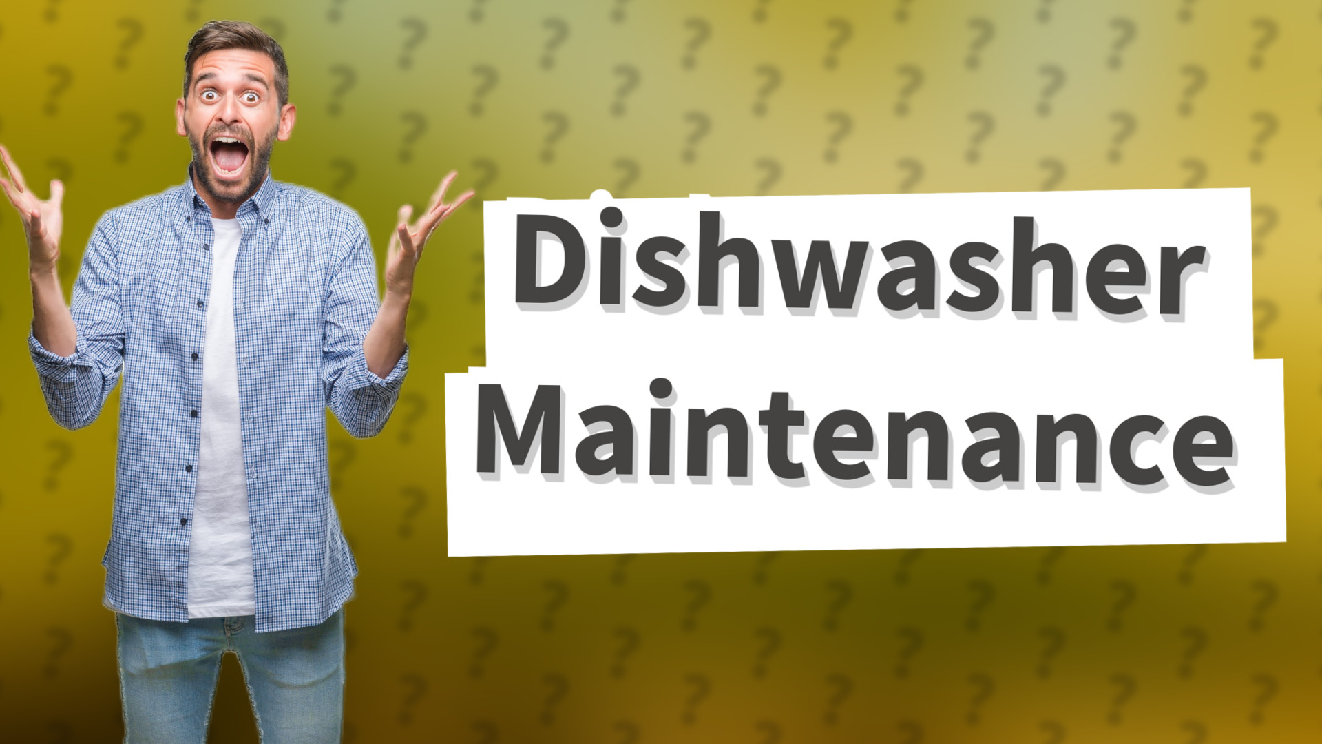 Dishwasher Maintenance