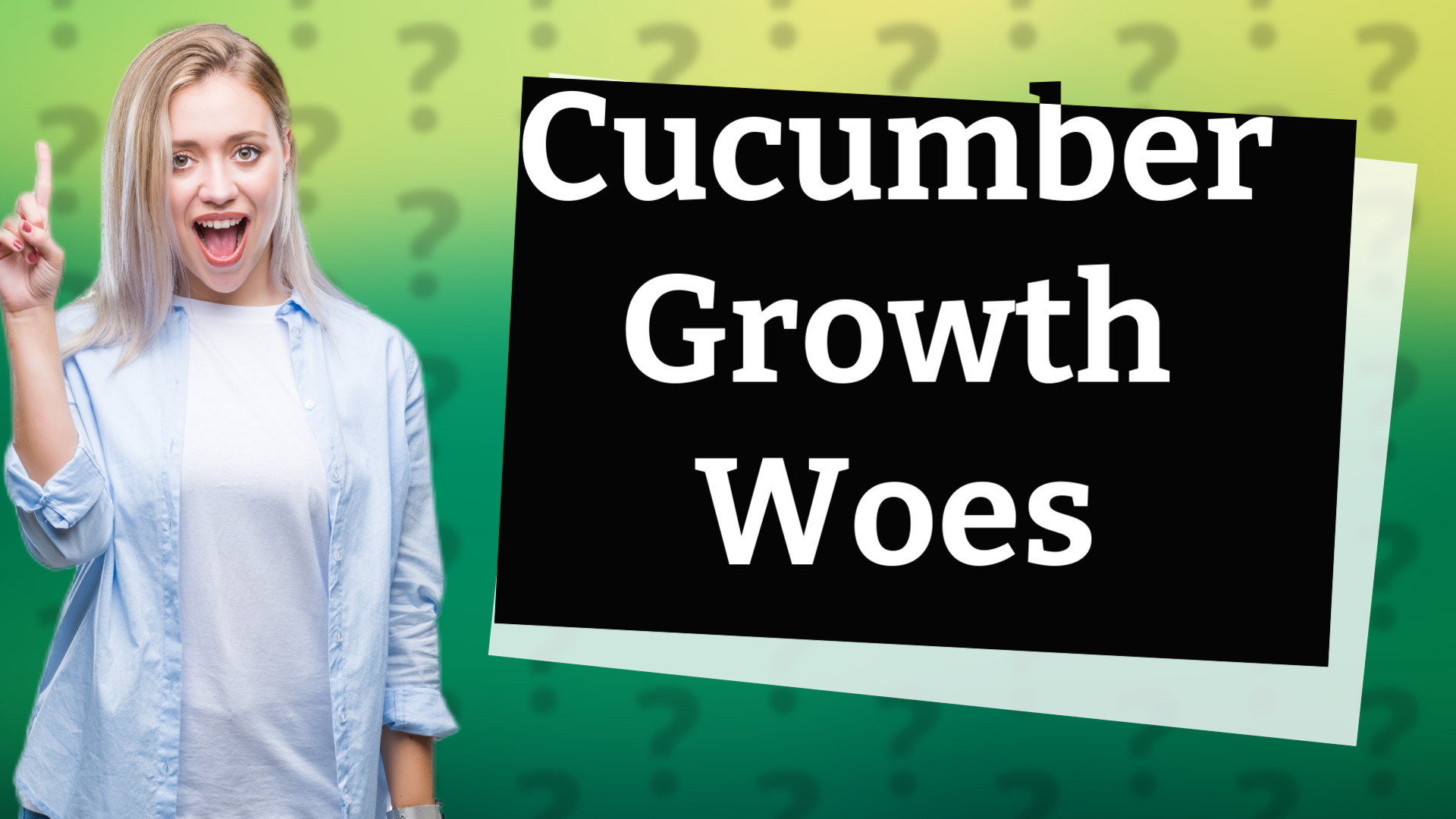 Cucumber Growth Woes