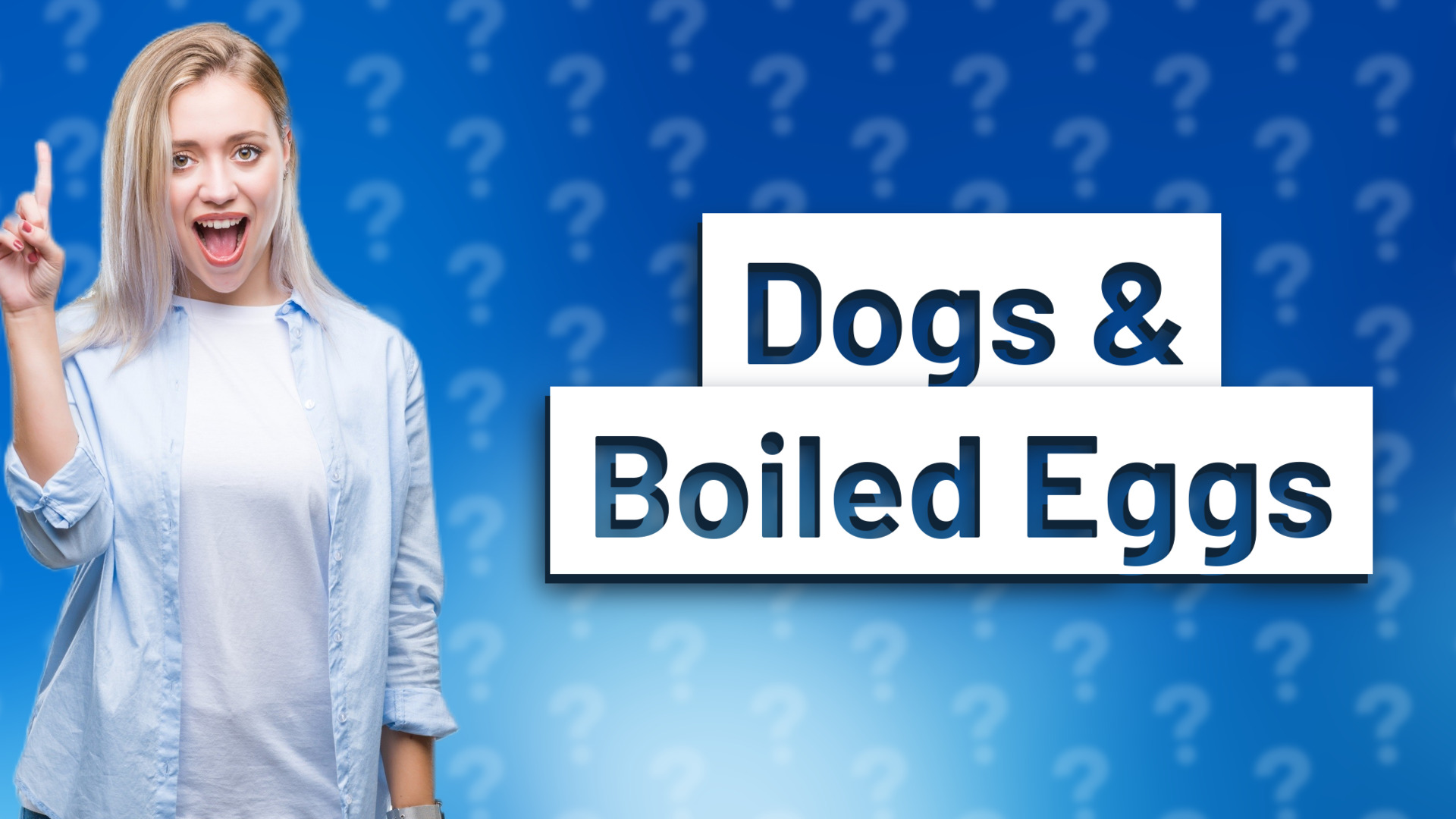 Dogs & Boiled Eggs