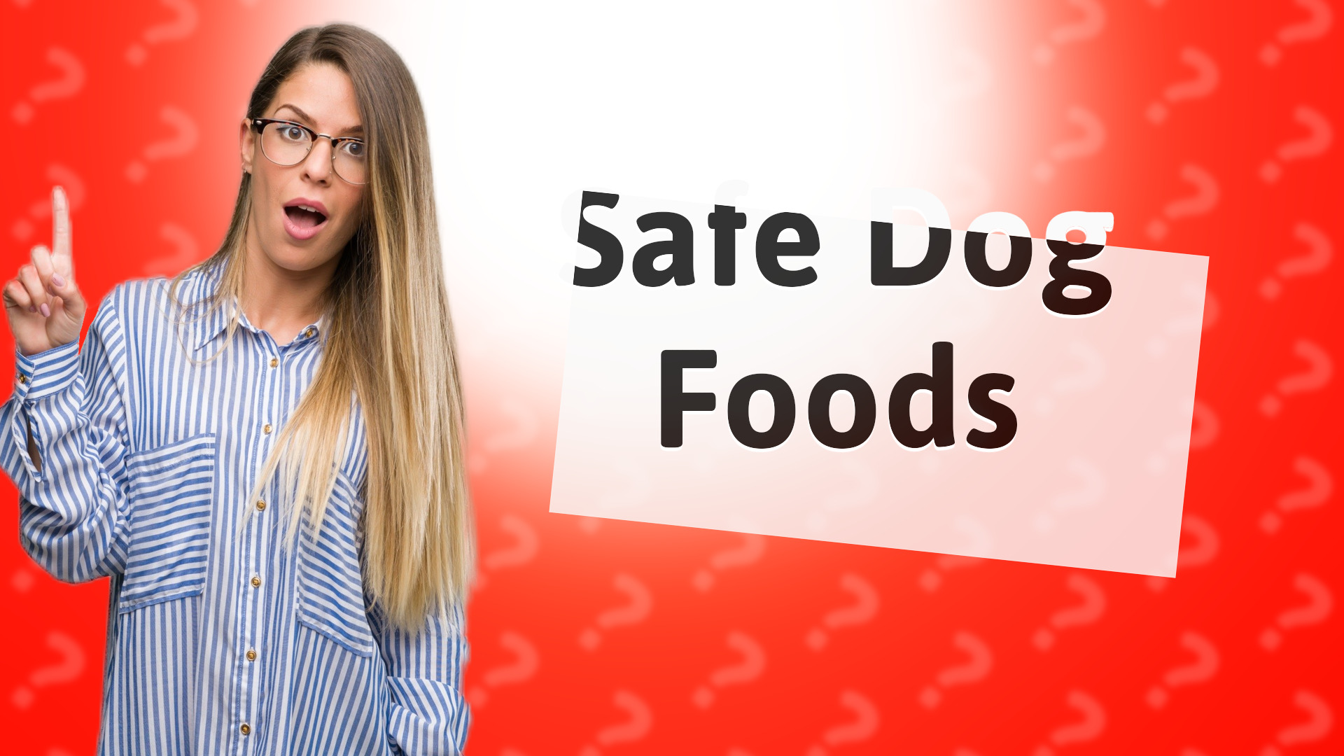 Safe Dog Foods