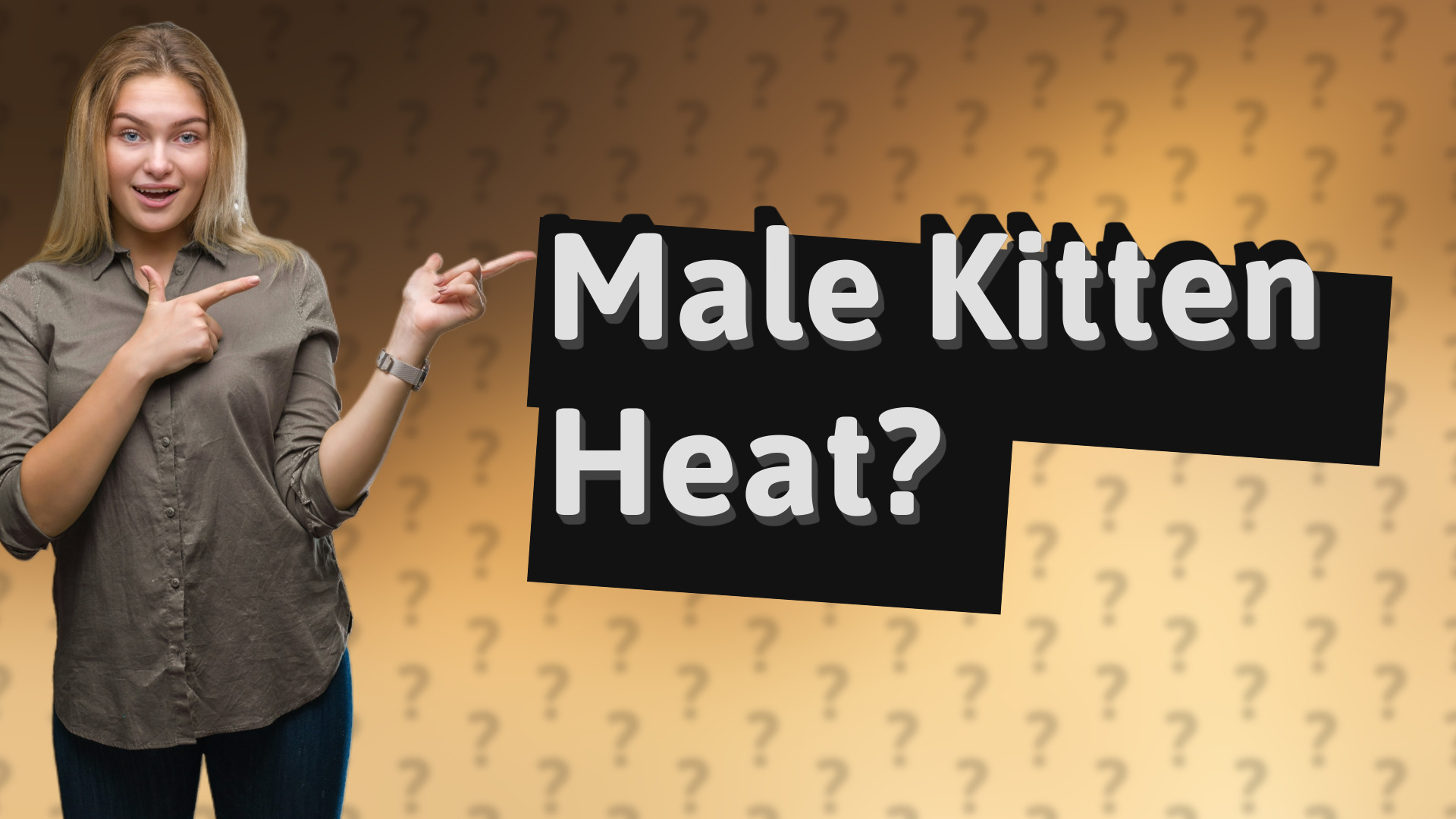 Male Kitten Heat?