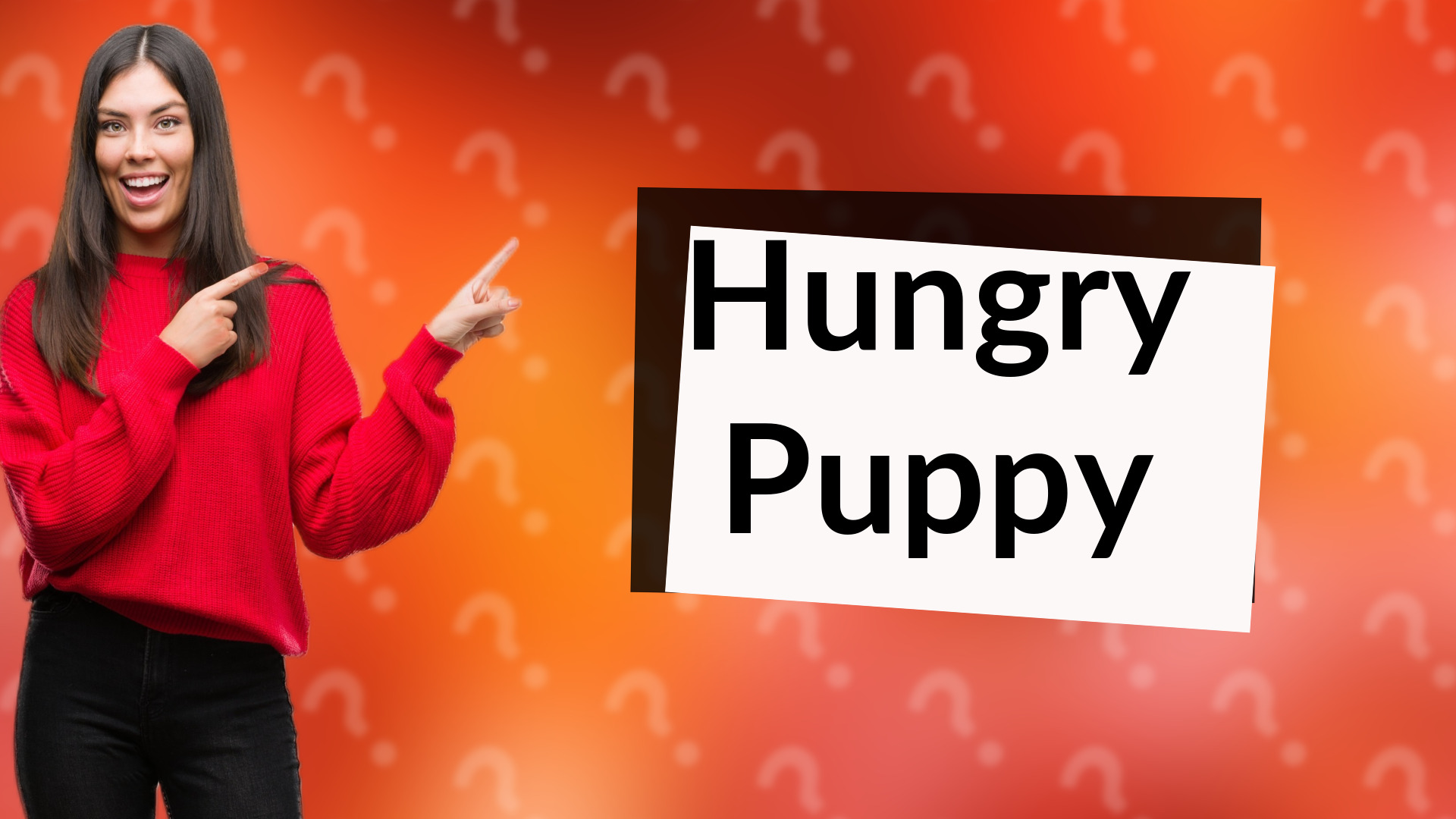 Hungry Puppy