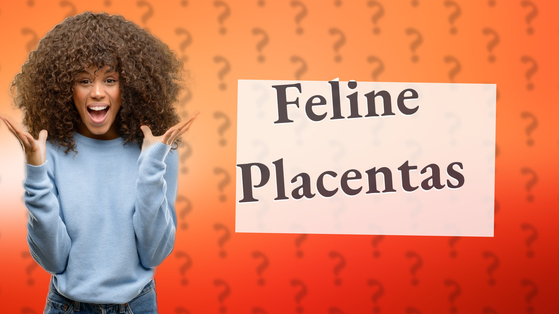 Feline Placentas