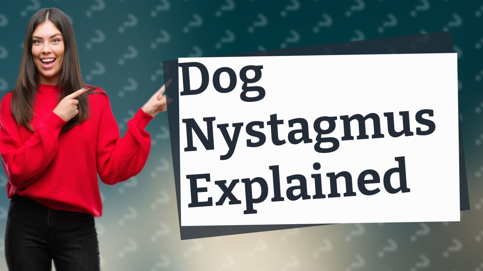 Dog Nystagmus Explained