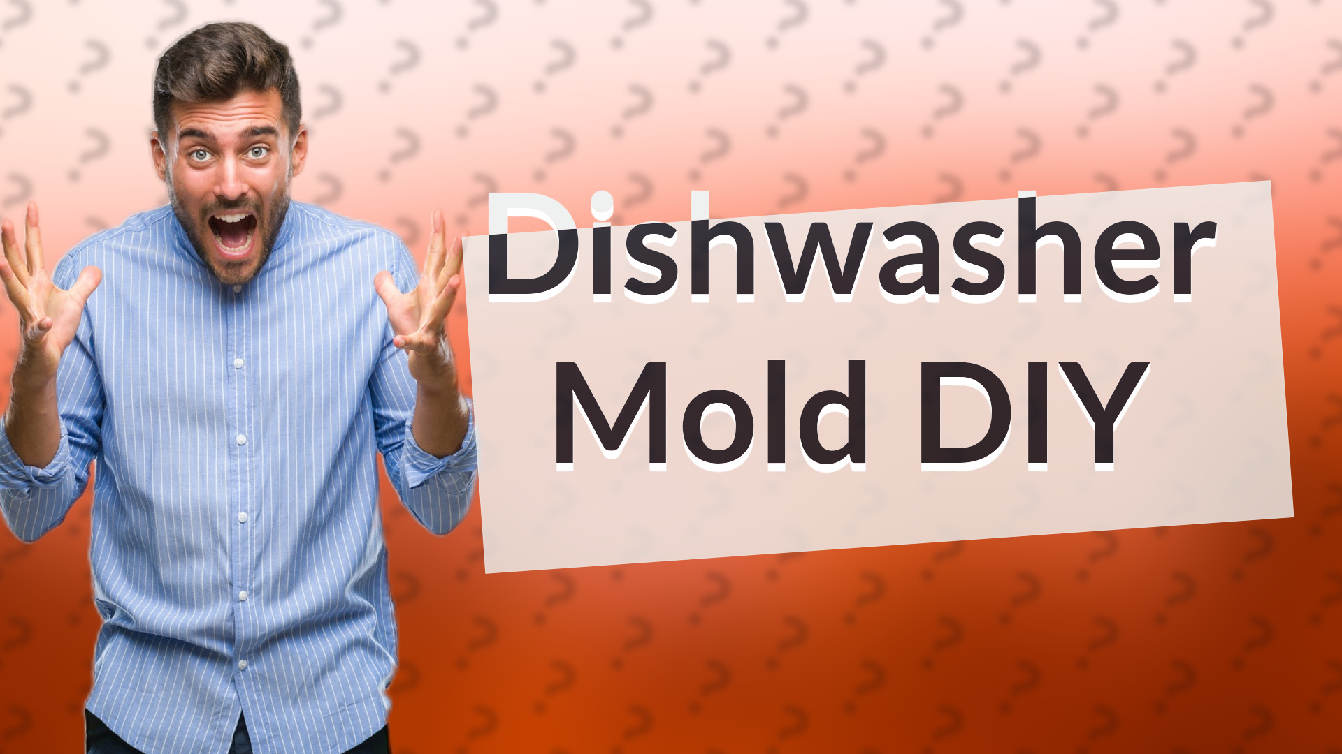 Dishwasher Mold DIY