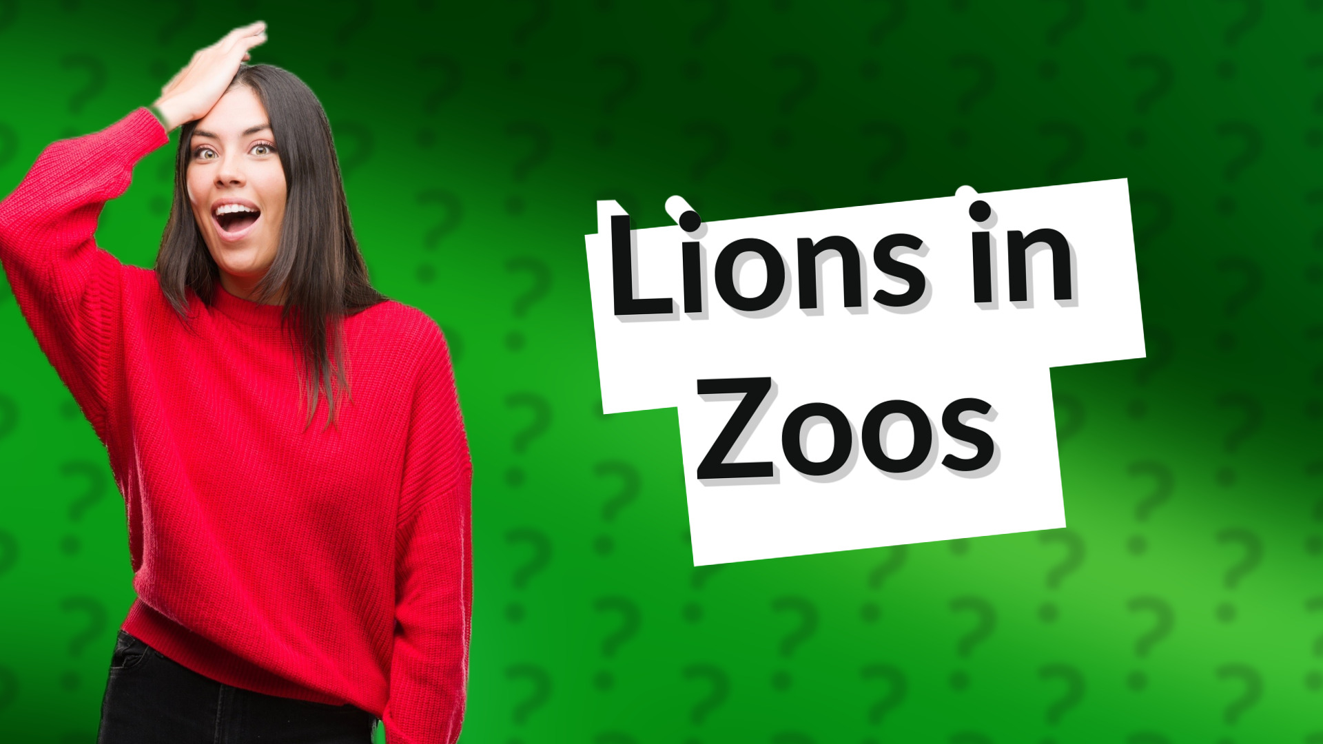 Lions in Zoos