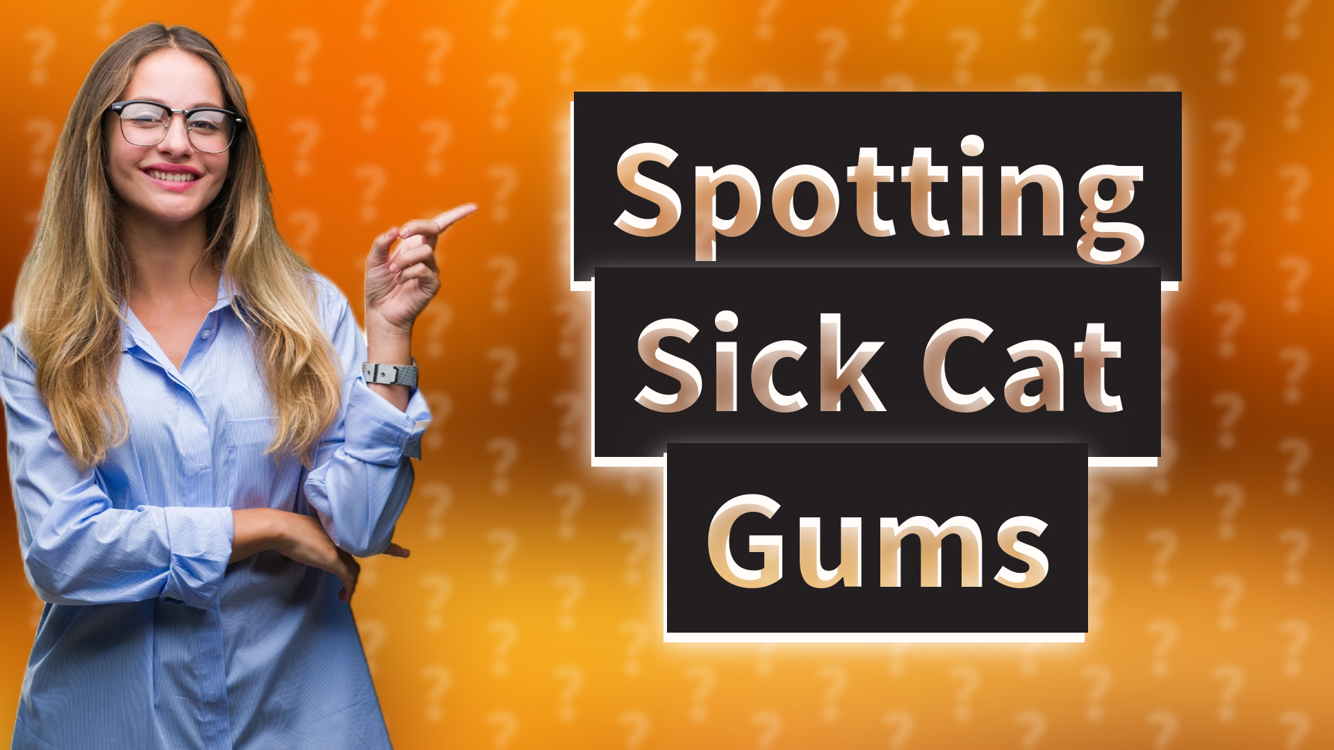 Spotting Sick Cat Gums