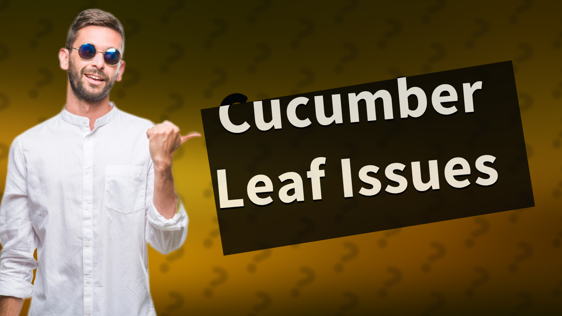 Cucumber Leaf Issues