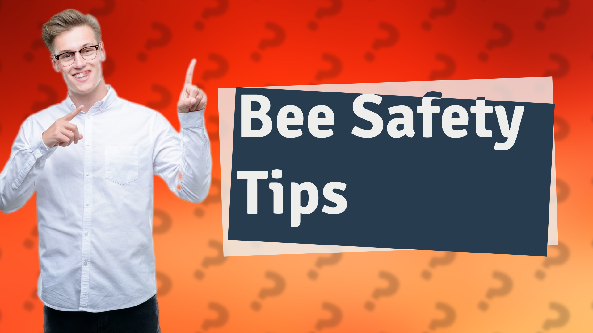 Bee Safety Tips