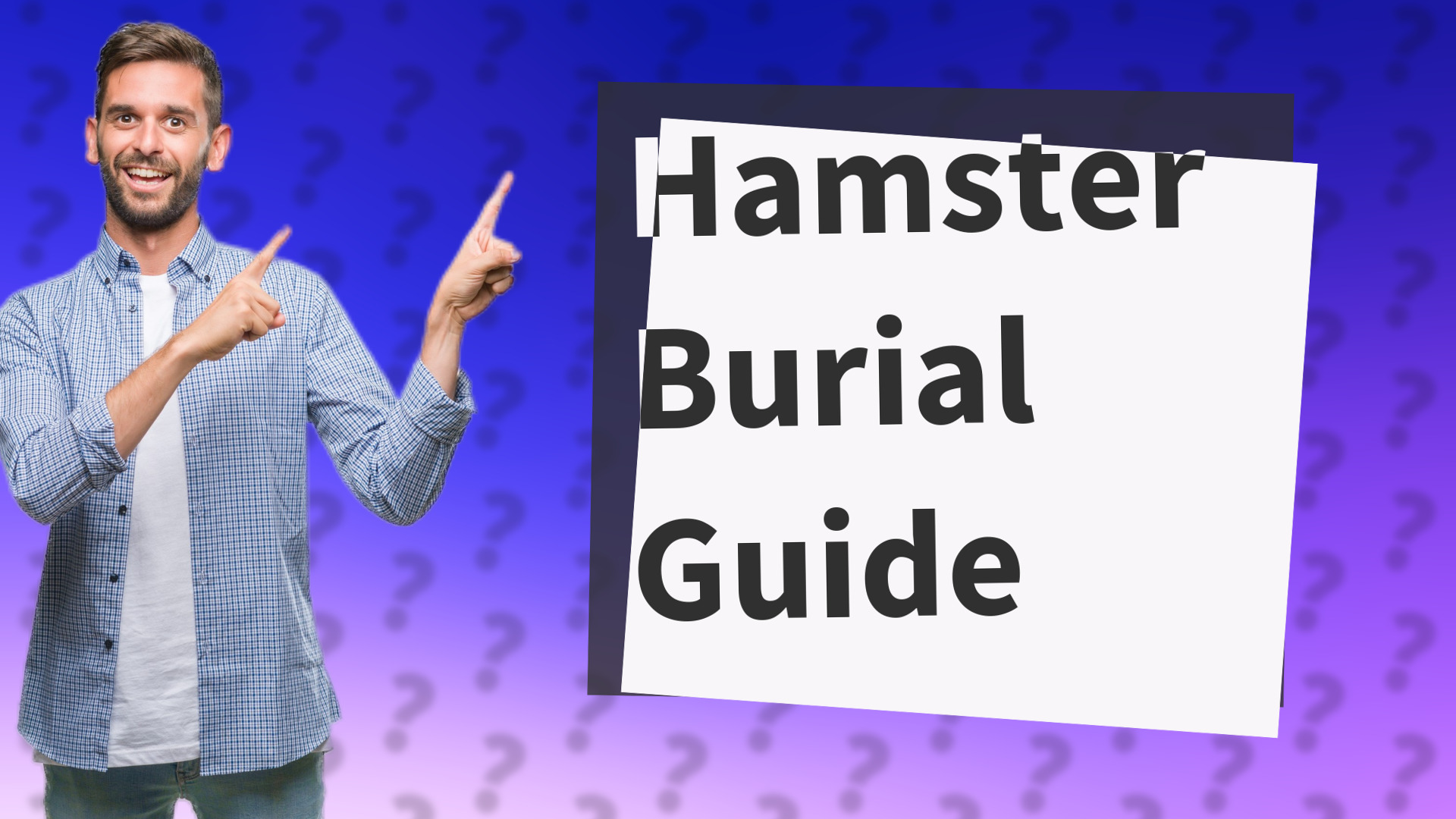 Hamster Burial Guide