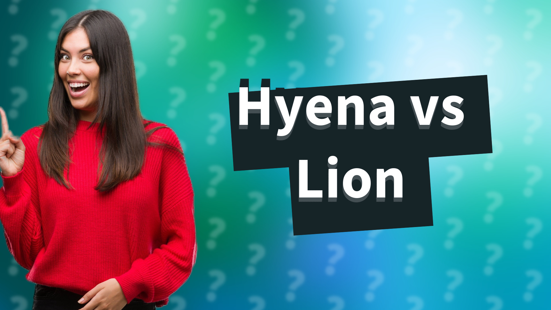 Hyena vs Lion
