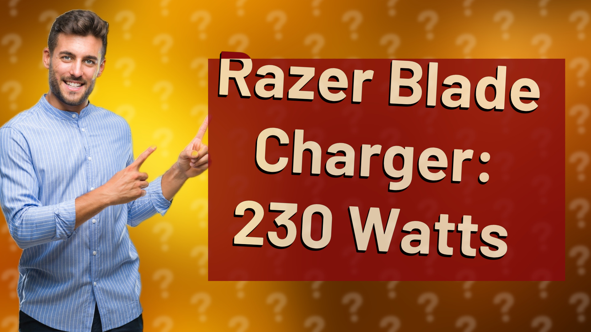 Razer Blade Charger: 230 Watts