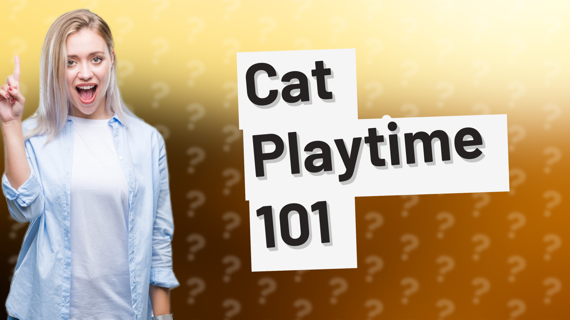 Cat Playtime 101