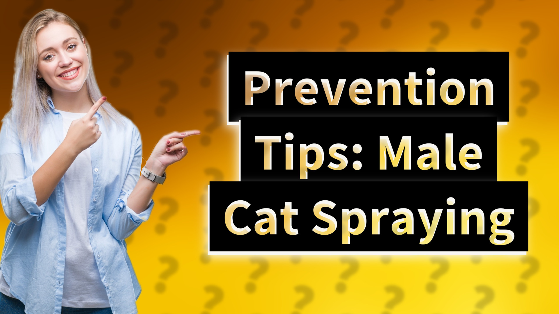Prevention Tips: Male Cat Spraying