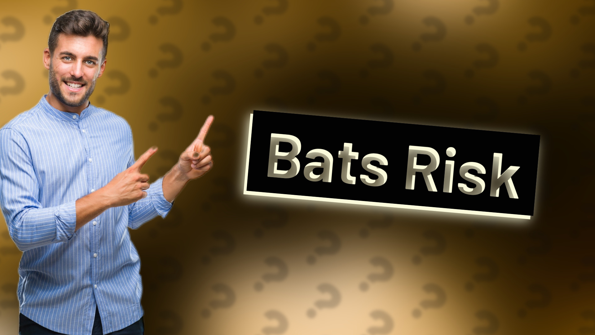 Bats Risk