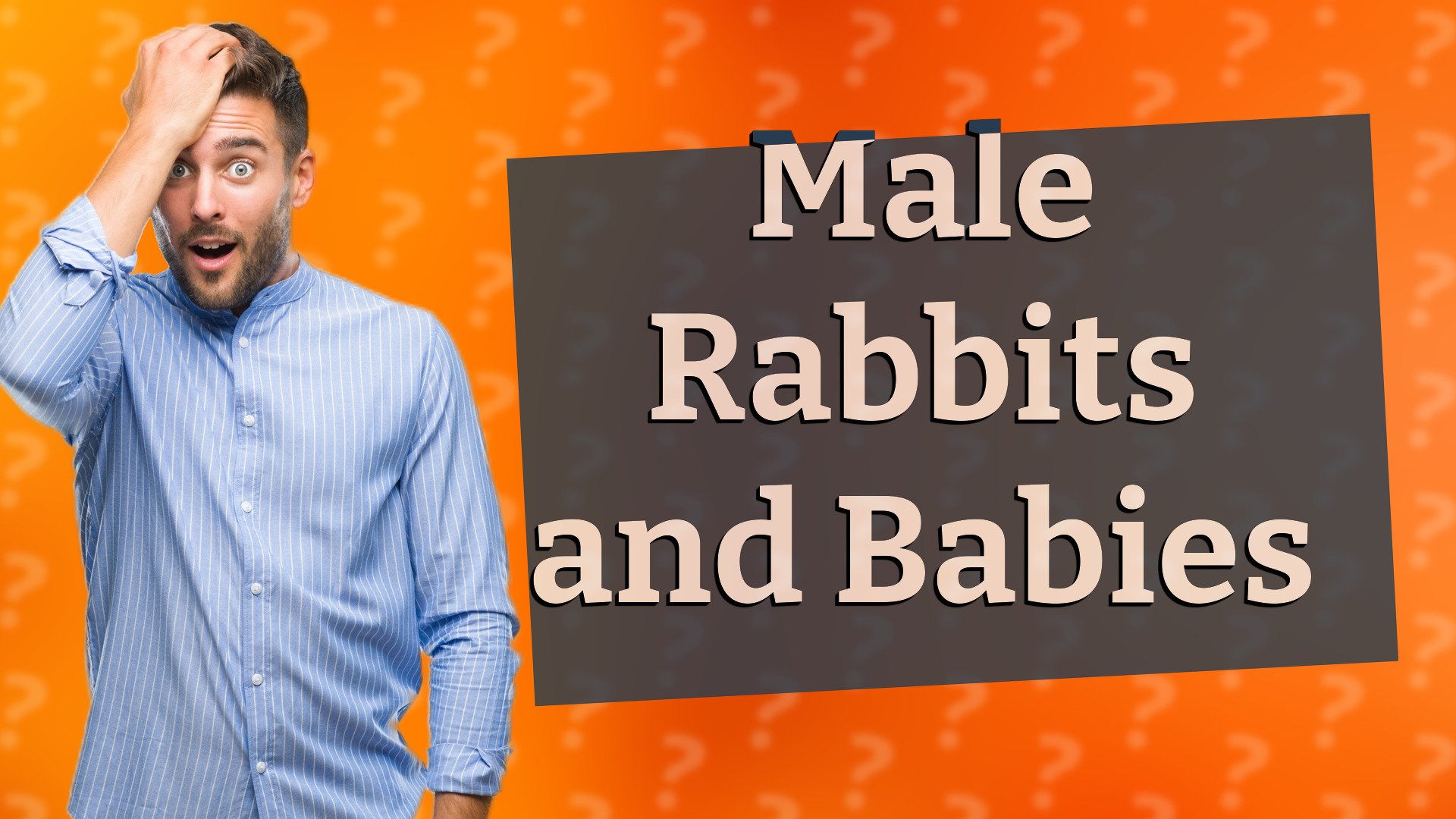 Male Rabbits and Babies