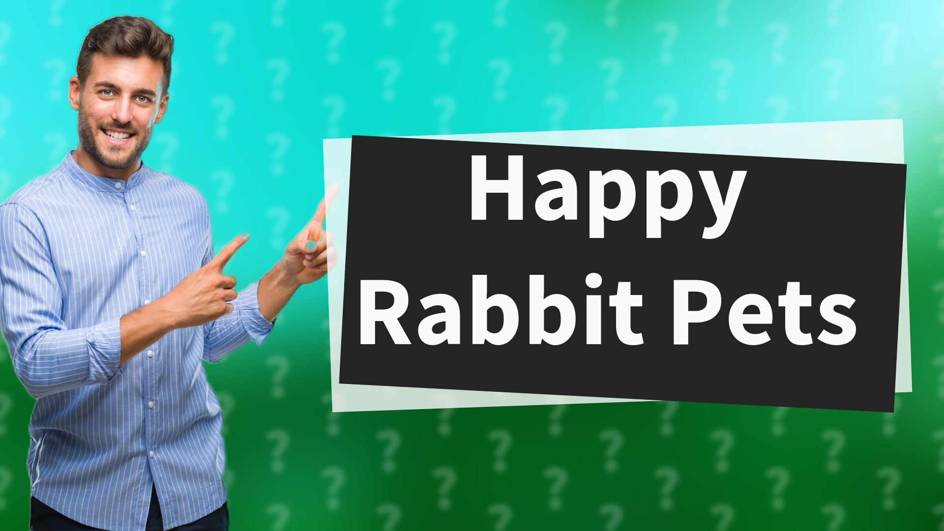 Happy Rabbit Pets