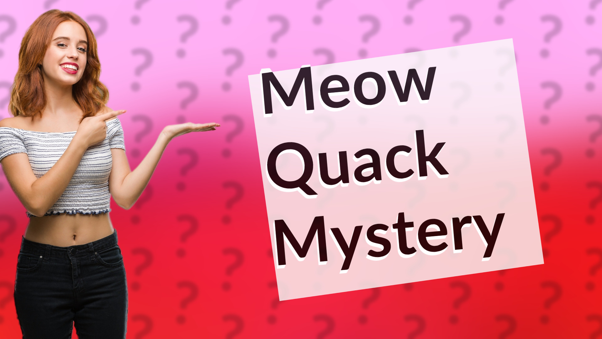 Meow Quack Mystery