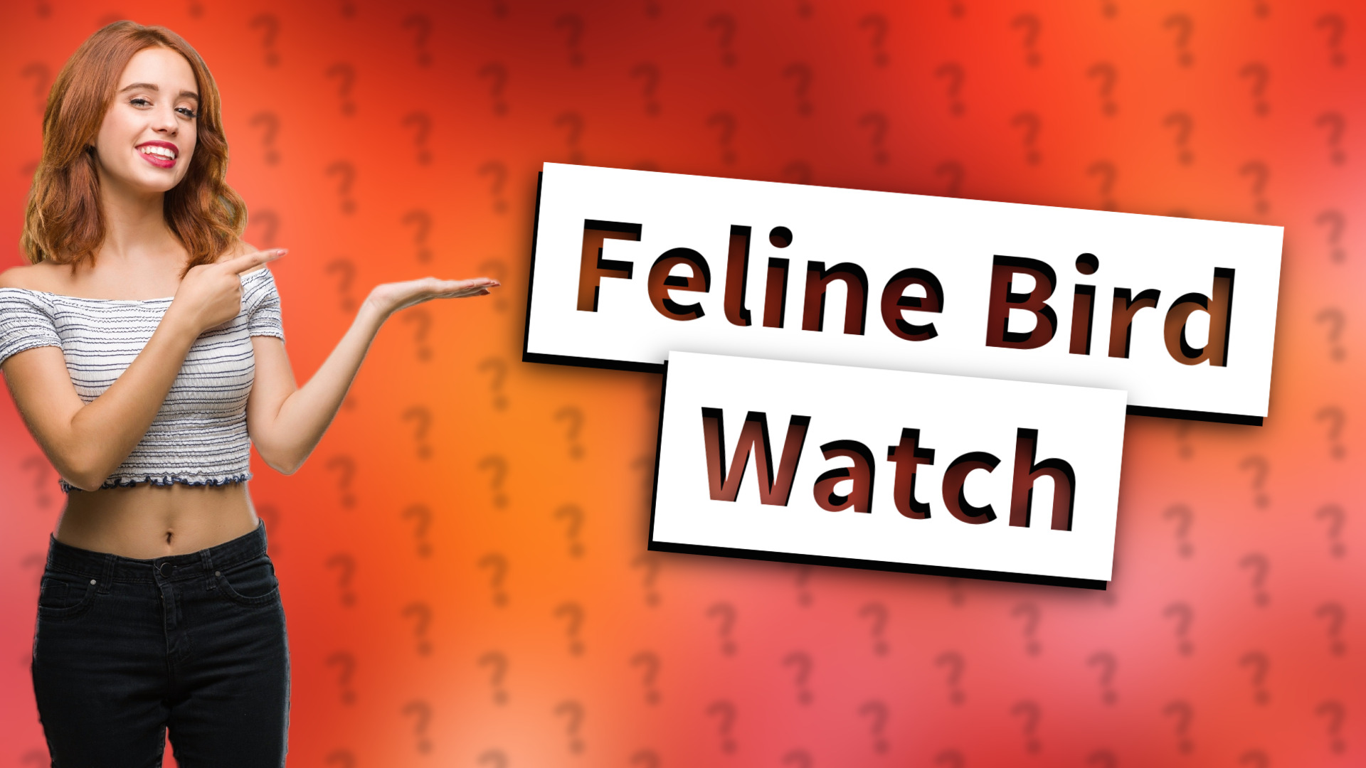 Feline Bird Watch
