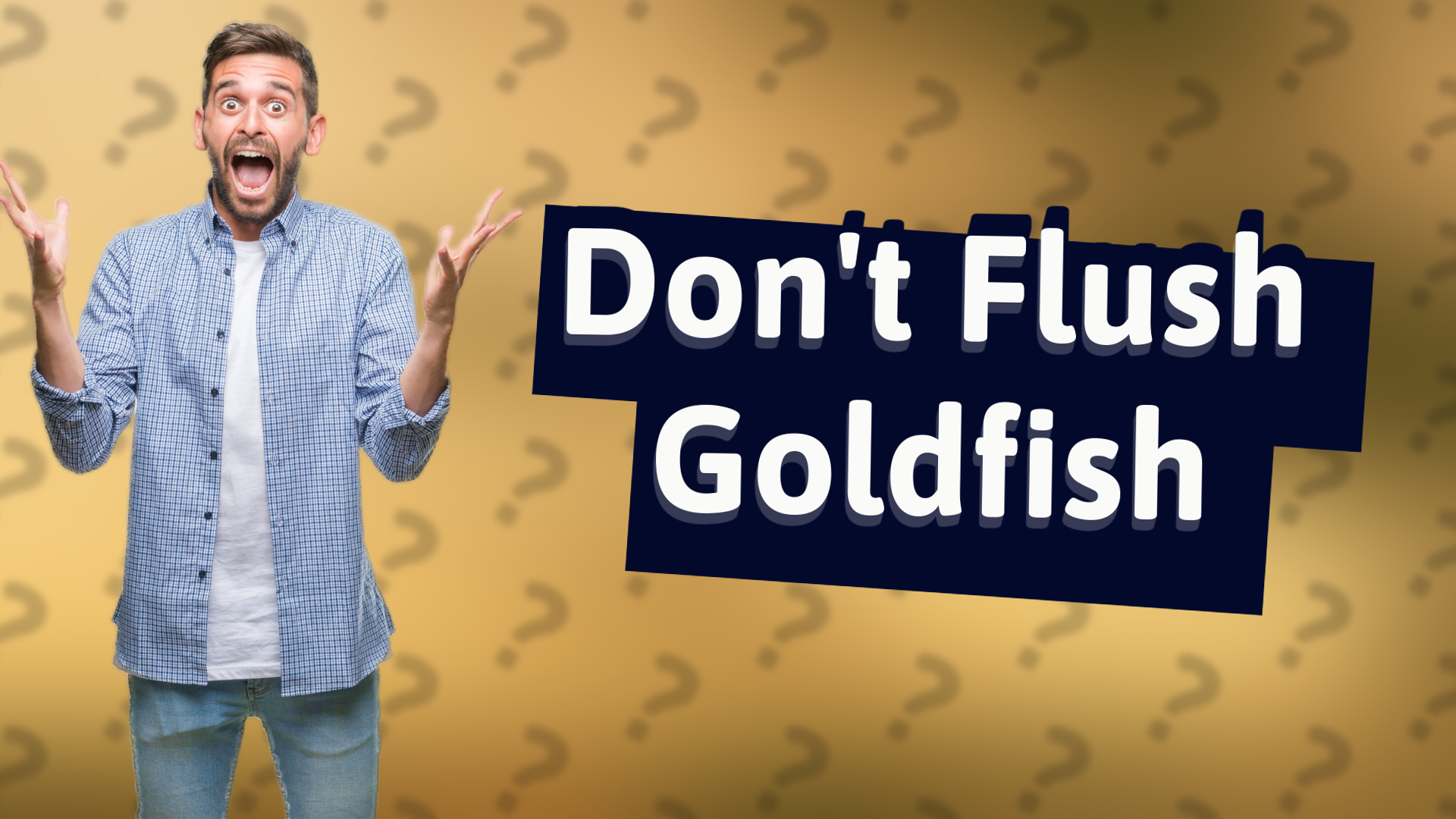 Don't Flush Goldfish