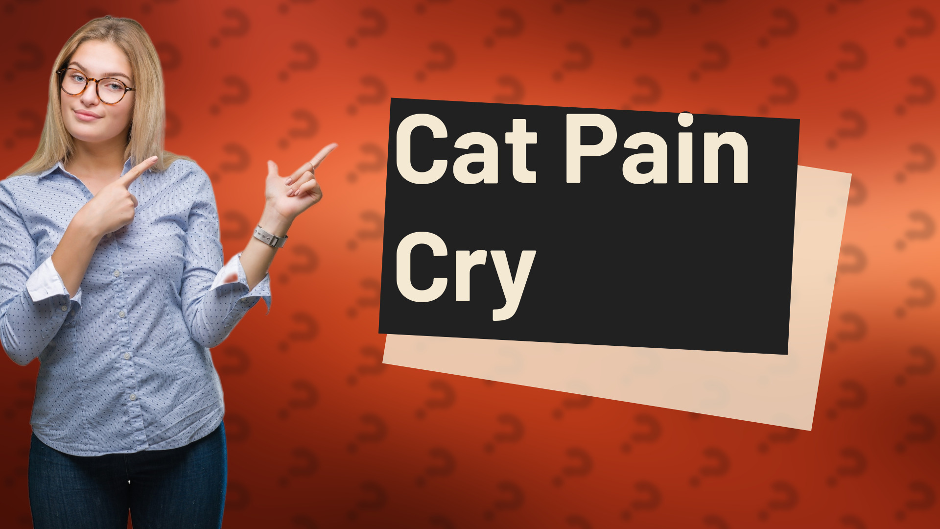 Cat Pain Cry