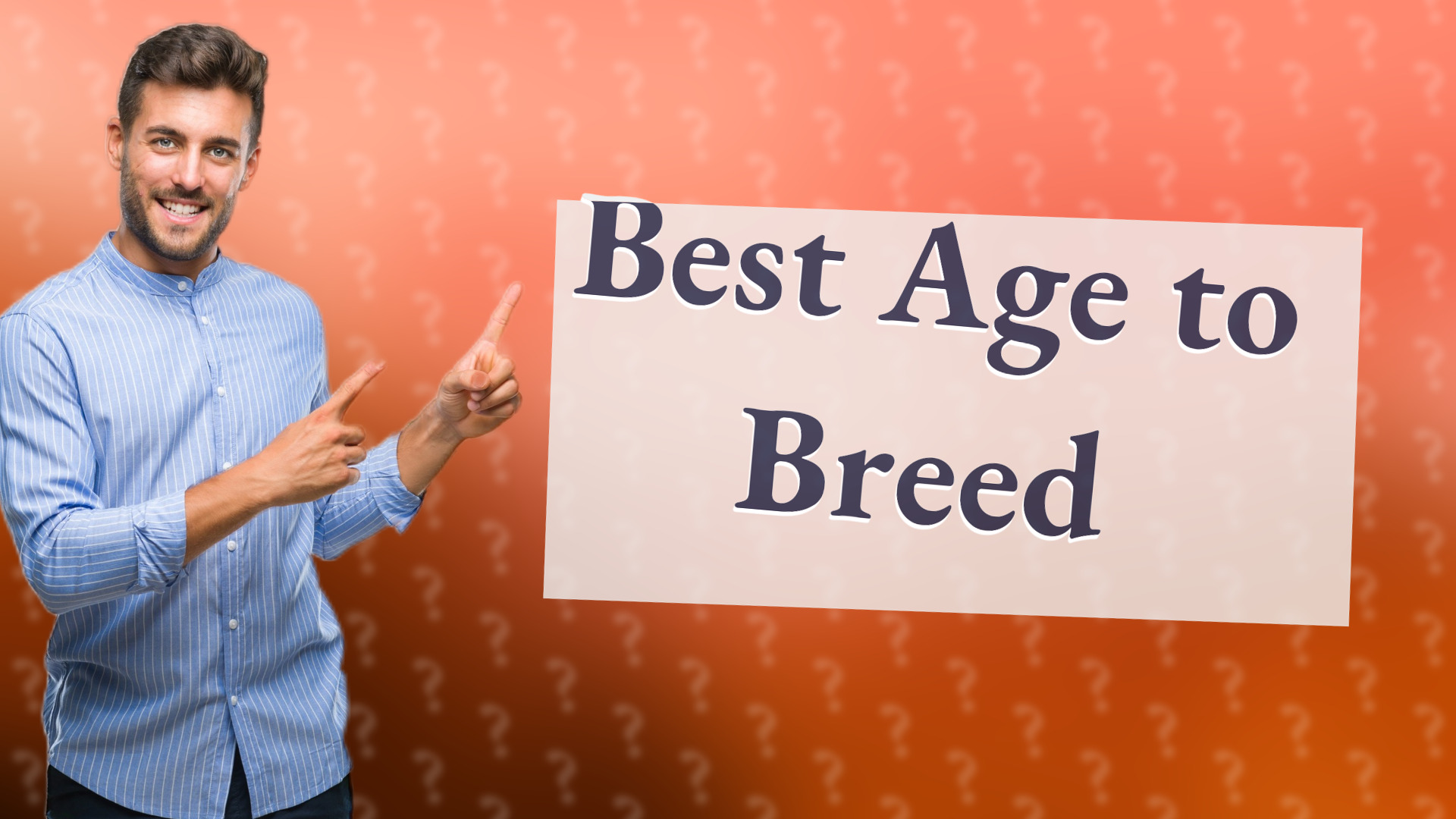 Best Age to Breed