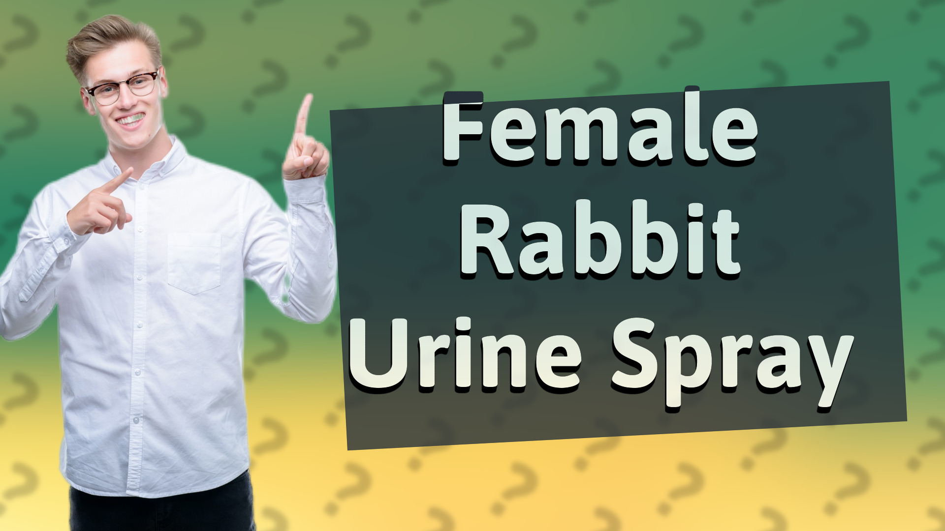 Female Rabbit Urine Spray