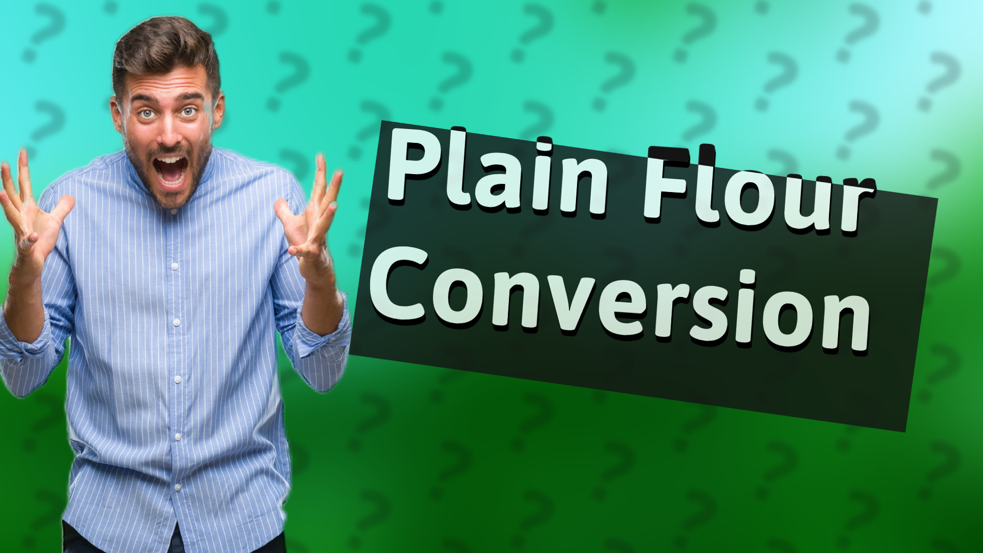Plain Flour Conversion