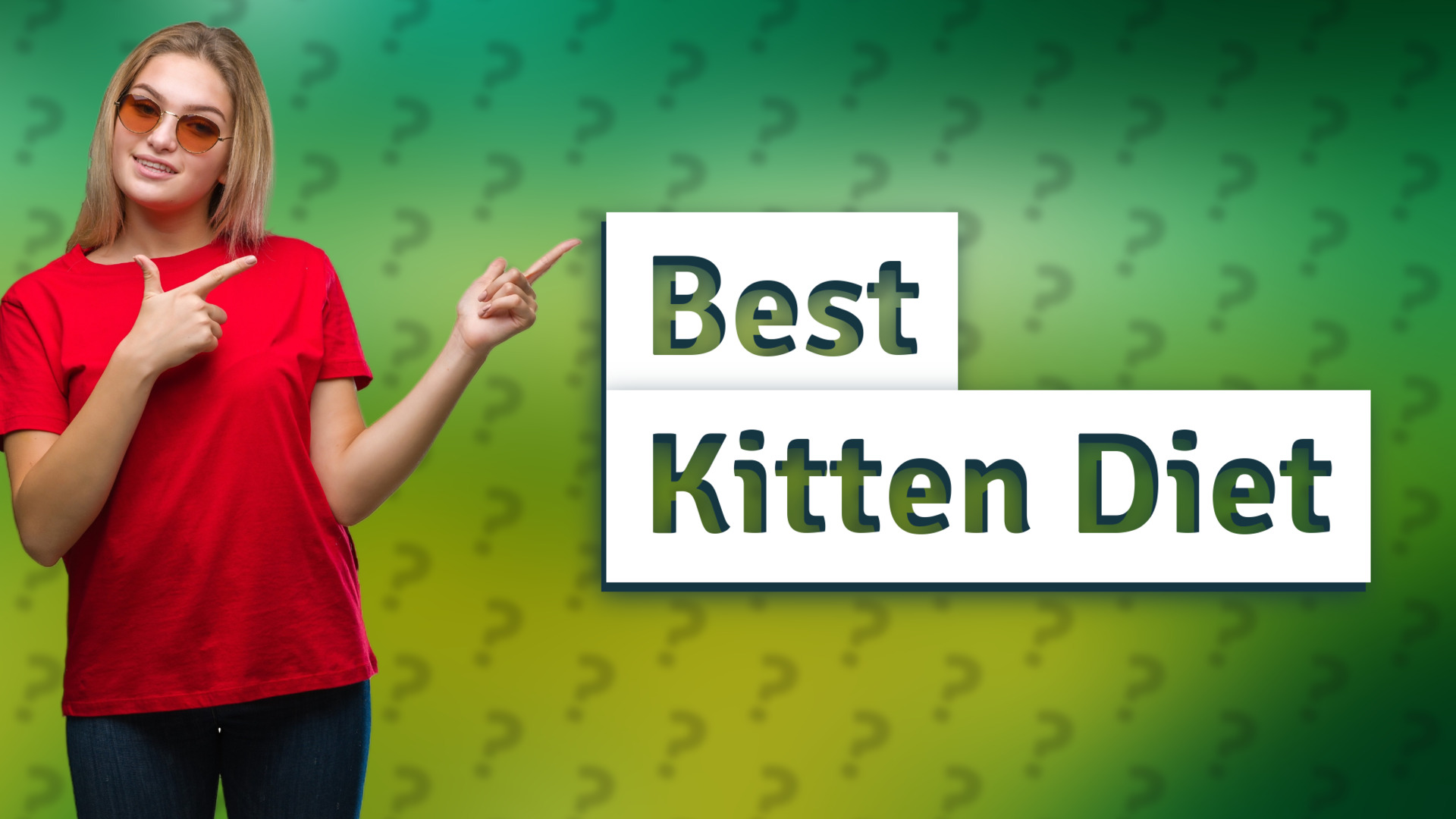 Best Kitten Diet