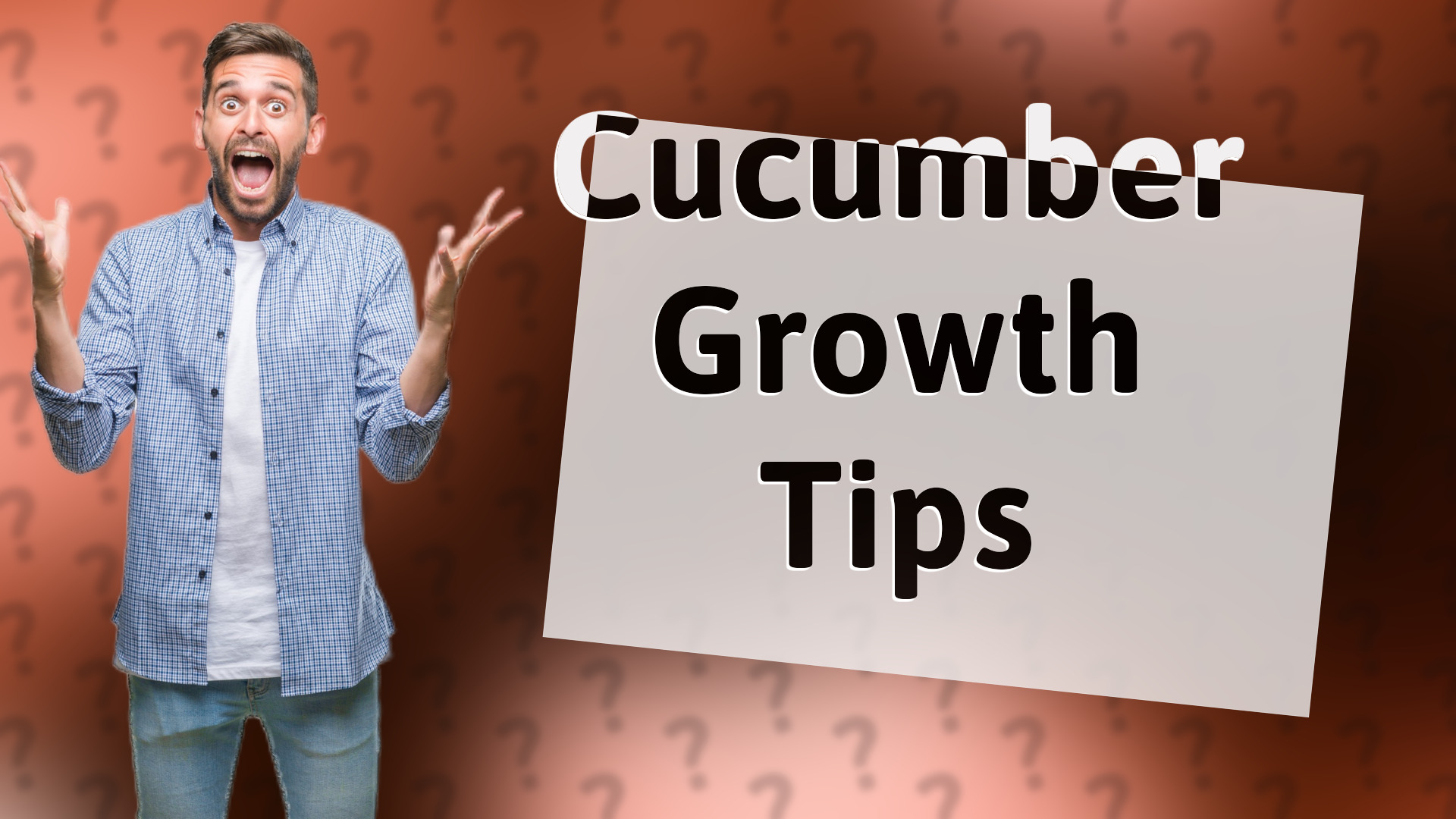 Cucumber Growth Tips