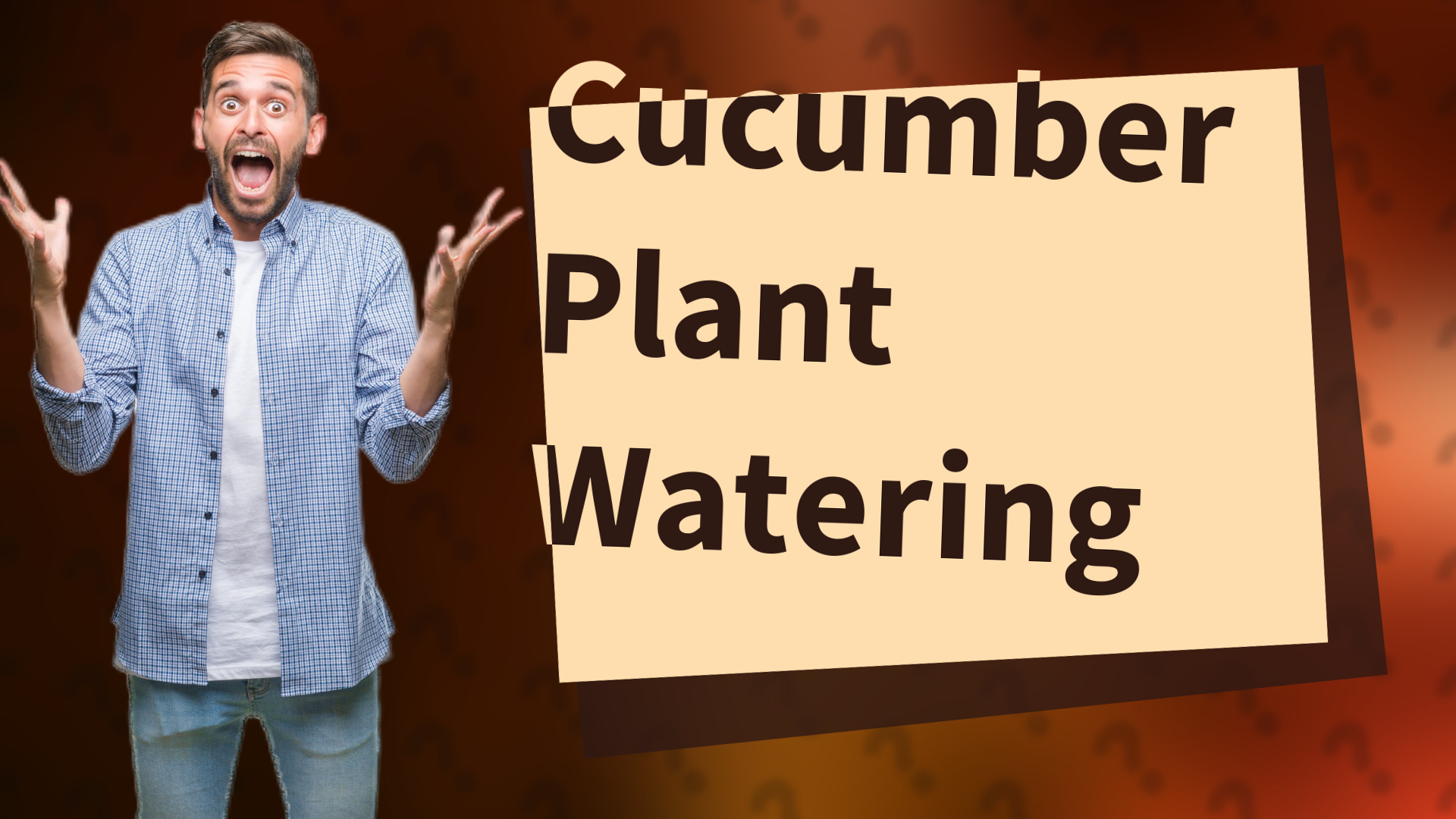 Cucumber Plant Watering