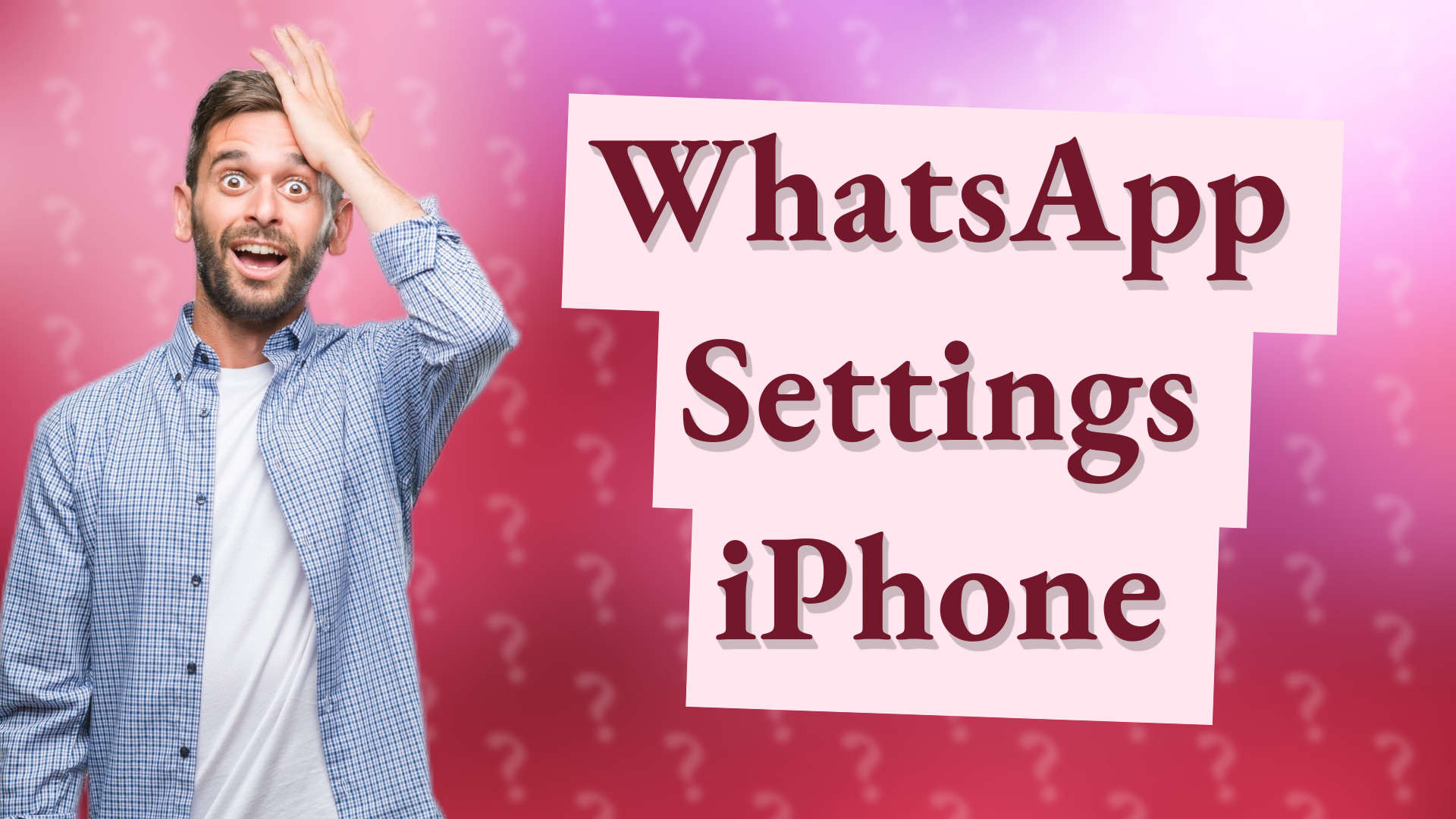 WhatsApp Settings iPhone