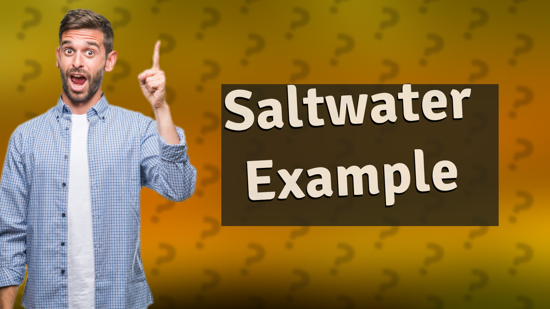 Saltwater Example